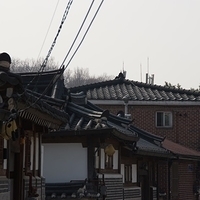 2013.04.03-131.JPG