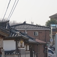 2013.04.03-133.JPG