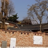 2013.04.03-149.JPG