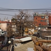 2013.04.03-161.JPG