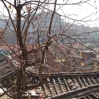 2013.04.03-174.JPG