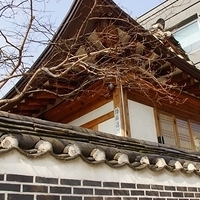 2013.04.03-198.JPG