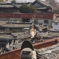 2013.04.03-204.JPG