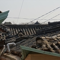 2013.04.03-211.JPG