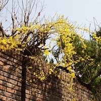 2013.04.03-214.JPG