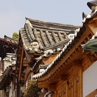 2013.04.03-228.JPG