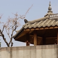 2013.04.03-229.JPG