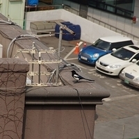 2013.04.03-271.JPG