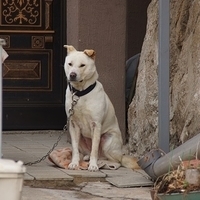2013.04.03-283.JPG