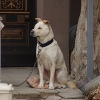 2013.04.03-284.JPG