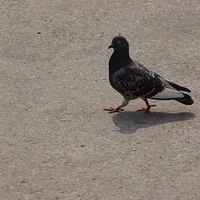2013.04.03-302.JPG