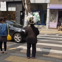 2013.04.03-303.JPG