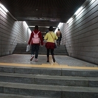 2013.04.03-336.JPG