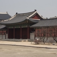 2013.04.03-378.JPG