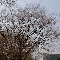 2013.04.03-381.JPG