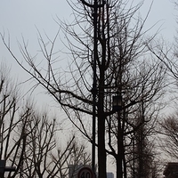 2013.04.03-397.JPG