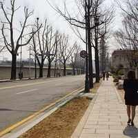 2013.04.03-398.JPG