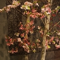 2013.04.03-455.JPG