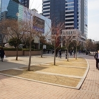 2013.04.03-460.JPG