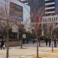 2013.04.03-462.JPG