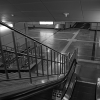 2013.04.03-468.JPG