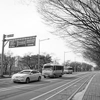 2013.04.03-480.JPG