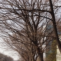 2013.04.03-482.JPG