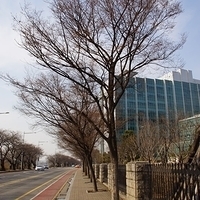 2013.04.03-484.JPG