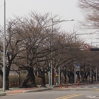 2013.04.03-485.JPG