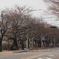 2013.04.03-486.JPG