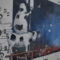 2013.04.03-516.JPG