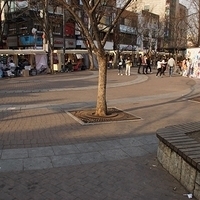 2013.04.03-530.JPG