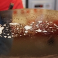 2013.04.04-010.JPG