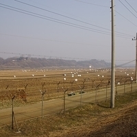 2013.04.04-038.JPG