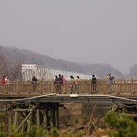 2013.04.04-047.JPG