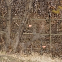2013.04.04-067.JPG