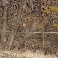2013.04.04-068.JPG