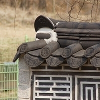 2013.04.04-070.JPG