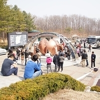 2013.04.04-090.JPG