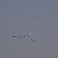 2013.04.04-192.JPG
