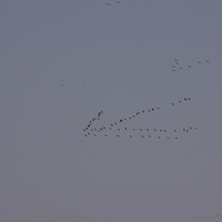 2013.04.04-193.JPG