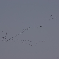 2013.04.04-194.JPG