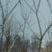 2013.04.04-226.JPG