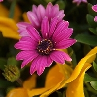 2013.04.04-362.JPG