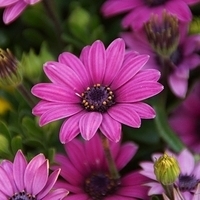 2013.04.04-363.JPG