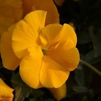 2013.04.04-364.JPG