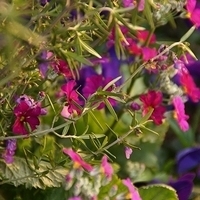 2013.04.04-365.JPG