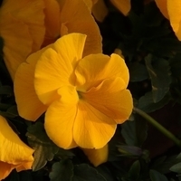 2013.04.04-366.JPG