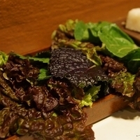 2013.04.04-381.JPG