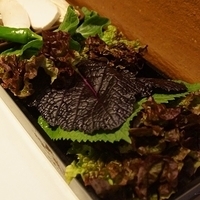 2013.04.04-387.JPG
